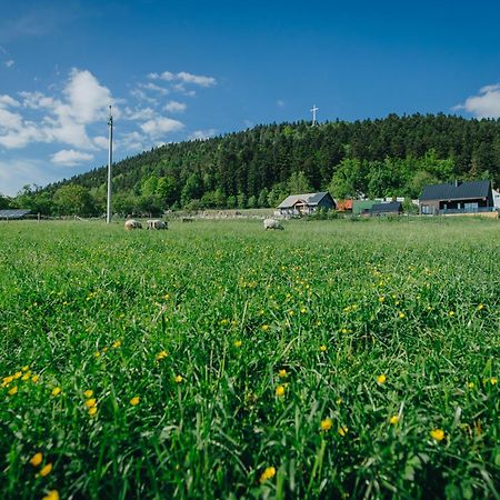 Apartamenty Lesna Limanowa Kültér fotó